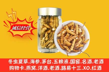 梁河县回收散虫草